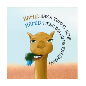 cover website hamid sp en