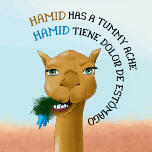 Hamid Has a Tummy Ache - English - Spanish