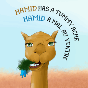 Hamid Has a Tummy Ache - English - French